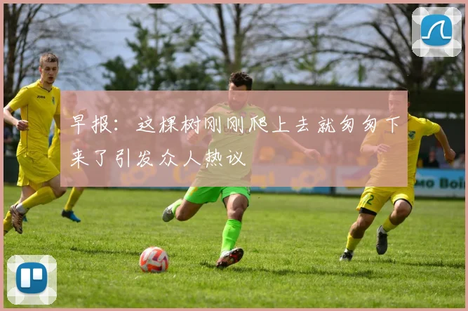 早报：这棵树刚刚爬上去就匆匆下来了引发众人热议