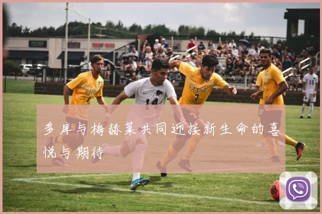 多库与梅赫莱共同迎接新生命的喜悦与期待
