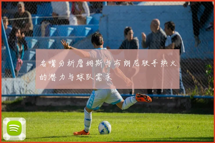 名嘴分析詹姆斯与布朗尼联手热火的潜力与球队需求